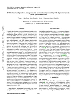 Architectural configurations, atlas granularity and functional
  connectivity with diagnostic value in Autism Spectrum Disorder