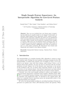 Single Sample Feature Importance: An Interpretable Algorithm for
  Low-Level Feature Analysis