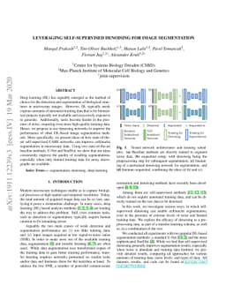 Leveraging Self-supervised Denoising for Image Segmentation