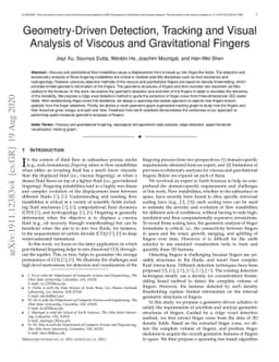 Geometry-Driven Detection, Tracking and Visual Analysis of Viscous and
  Gravitational Fingers