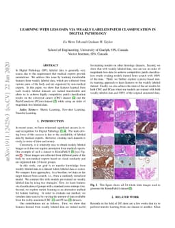 Learning with less data via Weakly Labeled Patch Classification in
  Digital Pathology