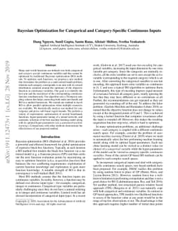 Bayesian Optimization for Categorical and Category-Specific Continuous
  Inputs