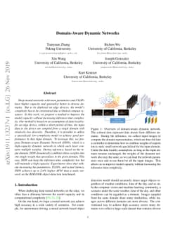 Domain-Aware Dynamic Networks
