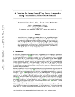A Case for the Score: Identifying Image Anomalies using Variational
  Autoencoder Gradients