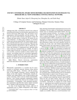 EM-NET: Centerline-Aware Mitochondria Segmentation in EM Images via
  Hierarchical View-Ensemble Convolutional Network
