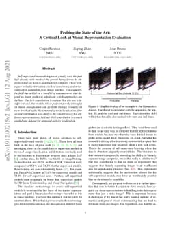 Probing the State of the Art: A Critical Look at Visual Representation
  Evaluation