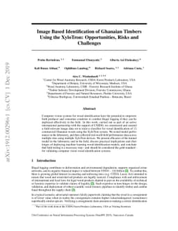 Image Based Identification of Ghanaian Timbers Using the XyloTron:
  Opportunities, Risks and Challenges