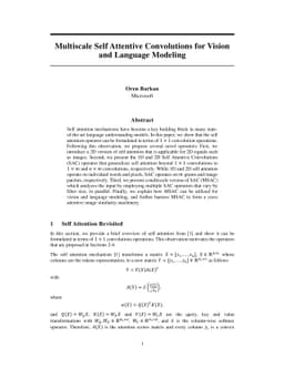 Multiscale Self Attentive Convolutions for Vision and Language Modeling