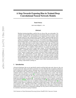 A Step Towards Exposing Bias in Trained Deep Convolutional Neural
  Network Models