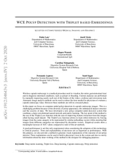 WCE Polyp Detection with Triplet based Embeddings