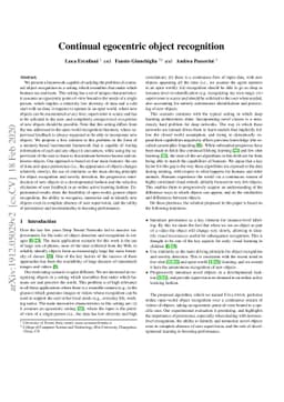 Continual egocentric object recognition
