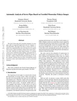 Automatic Analysis of Sewer Pipes Based on Unrolled Monocular Fisheye
  Images