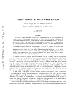 Double descent in the condition number