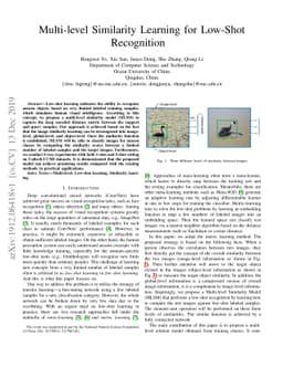 Multi-level Similarity Learning for Low-Shot Recognition