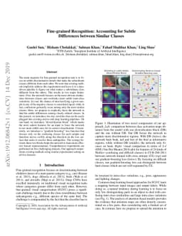 Fine-grained Recognition: Accounting for Subtle Differences between
  Similar Classes