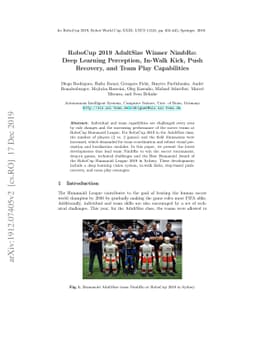 RoboCup 2019 AdultSize Winner NimbRo: Deep Learning Perception, In-Walk
  Kick, Push Recovery, and Team Play Capabilities