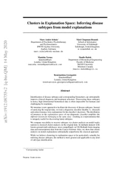 Clusters in Explanation Space: Inferring disease subtypes from model
  explanations