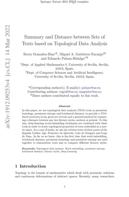 Summary and Distance between Sets of Texts based on Topological Data
  Analysis