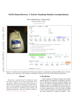 VizWiz Dataset Browser: A Tool for Visualizing Machine Learning Datasets