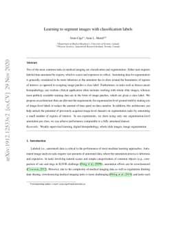 Learning to segment images with classification labels