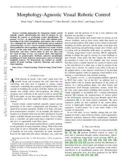 Morphology-Agnostic Visual Robotic Control