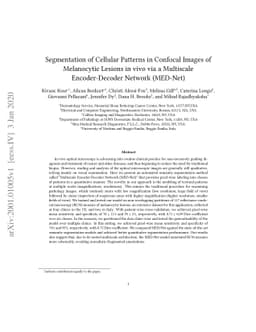 Segmentation of Cellular Patterns in Confocal Images of Melanocytic
  Lesions in vivo via a Multiscale Encoder-Decoder Network (MED-Net)