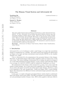 The Human Visual System and Adversarial AI