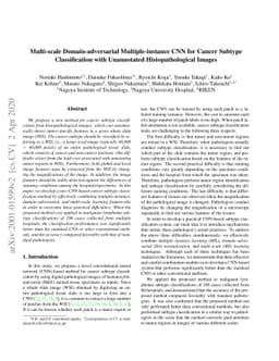 Multi-scale Domain-adversarial Multiple-instance CNN for Cancer Subtype
  Classification with Unannotated Histopathological Images