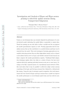 Investigation and Analysis of Hyper and Hypo neuron pruning to
  selectively update neurons during Unsupervised Adaptation