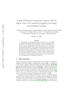 A kernel Principal Component Analysis (kPCA) digest with a new backward
  mapping (pre-image reconstruction) strategy