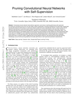 Pruning Convolutional Neural Networks with Self-Supervision