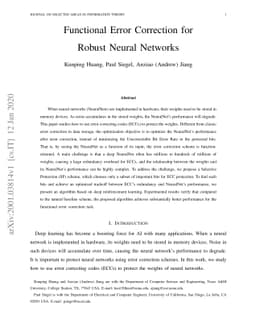 Functional Error Correction for Robust Neural Networks