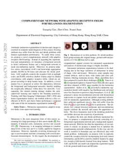 Complementary Network with Adaptive Receptive Fields for Melanoma
  Segmentation