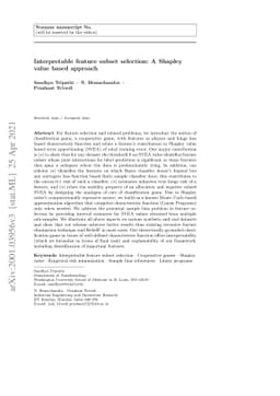 Interpretable feature subset selection: A Shapley value based approach