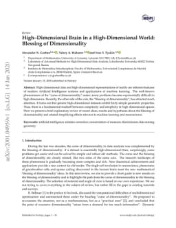 High--Dimensional Brain in a High-Dimensional World: Blessing of
  Dimensionality