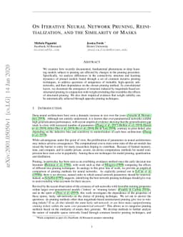 On Iterative Neural Network Pruning, Reinitialization, and the
  Similarity of Masks
