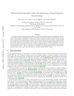 Microvascular Dynamics from 4D Microscopy Using Temporal Segmentation