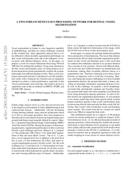 A Two-Stream Meticulous Processing Network for Retinal Vessel
  Segmentation