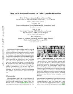Deep Metric Structured Learning For Facial Expression Recognition