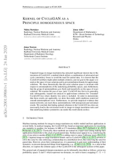 Kernel of CycleGAN as a Principle homogeneous space