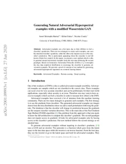 Generating Natural Adversarial Hyperspectral examples with a modified
  Wasserstein GAN