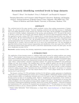 Accurately identifying vertebral levels in large datasets