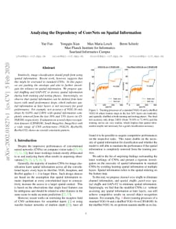 Analyzing the Dependency of ConvNets on Spatial Information