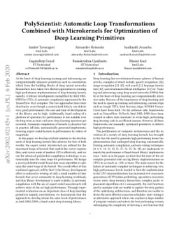 PolyScientist: Automatic Loop Transformations Combined with Microkernels
  for Optimization of Deep Learning Primitives