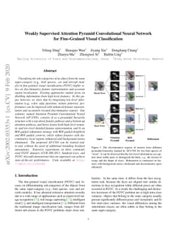 Weakly Supervised Attention Pyramid Convolutional Neural Network for
  Fine-Grained Visual Classification