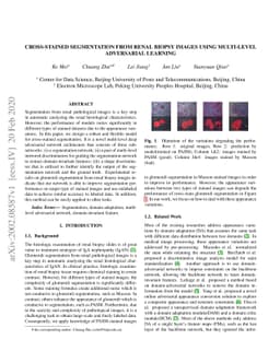 Cross-stained Segmentation from Renal Biopsy Images Using Multi-level
  Adversarial Learning