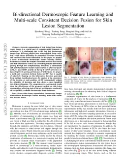 Bi-directional Dermoscopic Feature Learning and Multi-scale Consistent
  Decision Fusion for Skin Lesion Segmentation