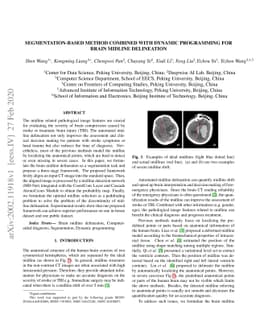 Segmentation-based Method combined with Dynamic Programming for Brain
  Midline Delineation
