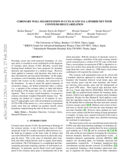 Coronary Wall Segmentation in CCTA Scans via a Hybrid Net with Contours
  Regularization