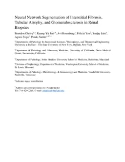 Neural Network Segmentation of Interstitial Fibrosis, Tubular Atrophy,
  and Glomerulosclerosis in Renal Biopsies